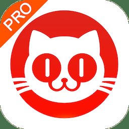 猫眼专业版软件 v8.6.1 安卓最新版本
