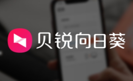 向日葵远程怎么设置全屏?-向日葵远程设置全屏的方法