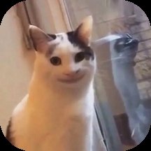 社恐人必备神器app