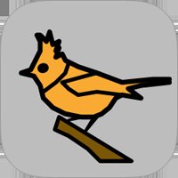 听声识鸟器官方版whoBIRD v1.5 最新版安卓版