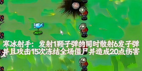 植物大战僵尸风韵版免安装绿色中文版[v1.0]5