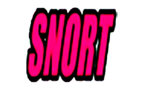 Snort2.9.8.0 官方版