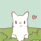 猫和汤安卓版下载_猫和汤手机版下载