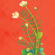 绿色果园赚钱版安卓版下载_绿色果园赚钱版手机版下载