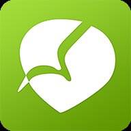 理想出行手机版