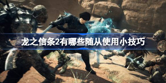 龙之信条2有哪些随从使用小技巧 龙之信条2随从使用小技巧介绍