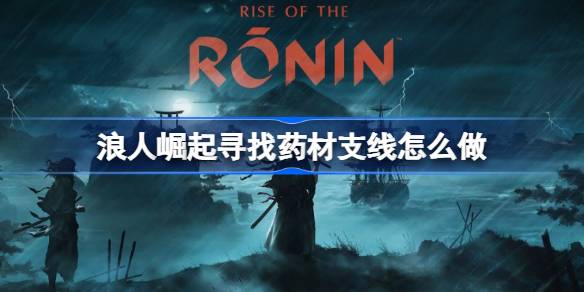 浪人崛起寻找药材支线怎么做 浪人崛起寻找药材支线攻略