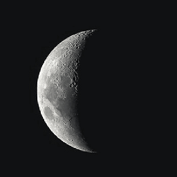 阅界读书手机版