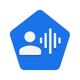 Voice Access app v6.1.530397167 安卓版