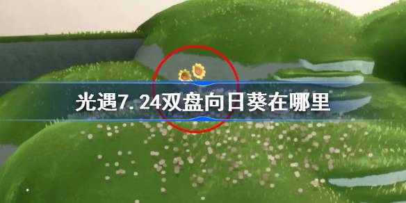 光遇7.24双盘向日葵在哪里 光遇7月24日代币位置