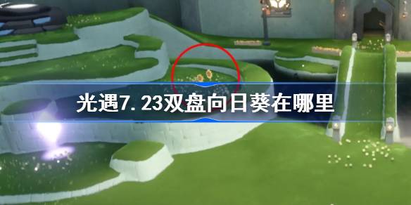 光遇7.23双盘向日葵在哪里 光遇7月23日有友节代币收集攻略
