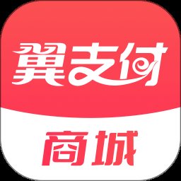 翼支付 10.91.30