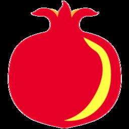 石榴云诊app官方版 v7.24.0 安卓版