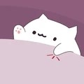 邦戈猫乐器大师下载