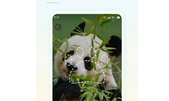 智能识别软件可以帮助我们通过用手机的拍照功能快速识别物品，这类软件中有可以用来识别物品的比如夸克，淘宝等，还有的可以用来识别文本，这类软件在我们的生活和学习中都能带来极大的方便，那么接下来小编就为大家分享一下智能识别软件吧。