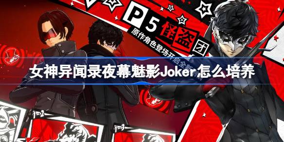女神异闻录夜幕魅影Joker怎么培养 女神异闻录夜幕魅影Joker培养攻略
