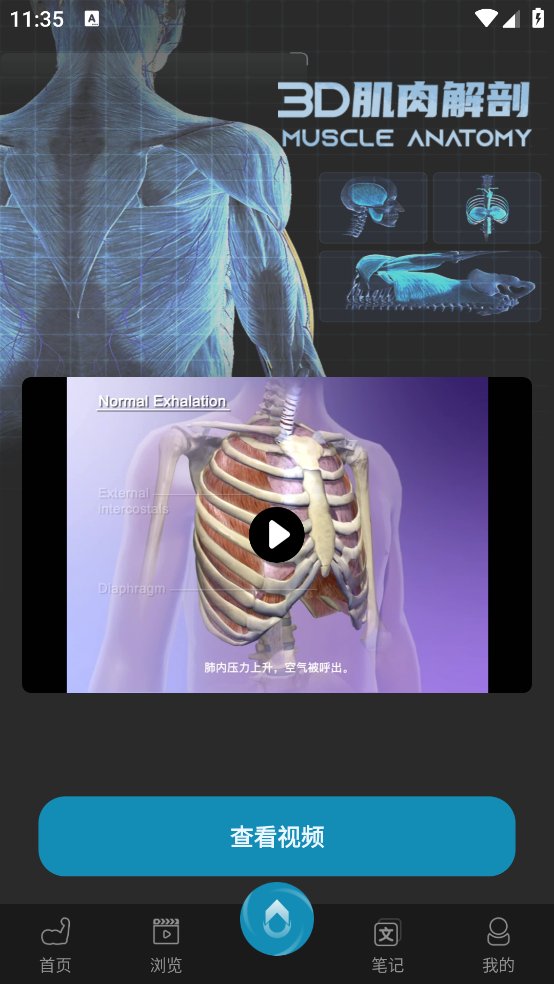 3D肌肉解剖app v0.1.8 安卓版4