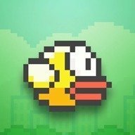 不一样的笨鸟安卓版下载_不一样的笨鸟手机版下载