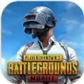 pubg mobile 1.7 download安卓版下载_pubg mobile 1.7 download手机版下载