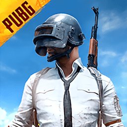 pubg mobile测试服 v2.9.4 最新安卓手机版