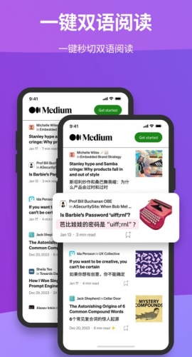 沉浸式翻译插件1.1.62