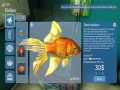 Aquarist - 建造水族馆，养鱼，发展你的事业！免安装绿色中文版[超市DLC|官方中文]14