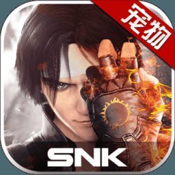 拳皇世界破解版内购版