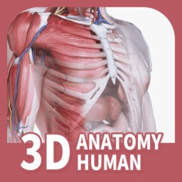 人体解剖3d模型app