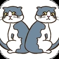 猫的错误安卓版下载_猫的错误手机版下载