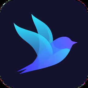 雨燕手机大师app