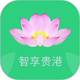 智慧荷城最新版