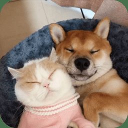 萌趣猫狗翻译器手机版 v1.2.4 安卓版