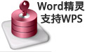 WORD精灵 11.1