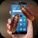 蟑螂恶作剧软件