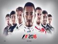 F1 2016免安装简体中文绿色版[v1.8.0版|整合STEAMPUNKS免DVD补丁|官方中文]9