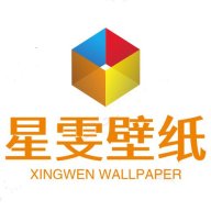 星雯壁纸1.0.0安卓版