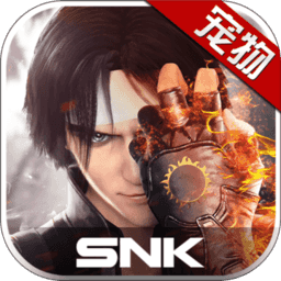 拳皇世界应用宝