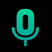 专业语音备忘录手机版