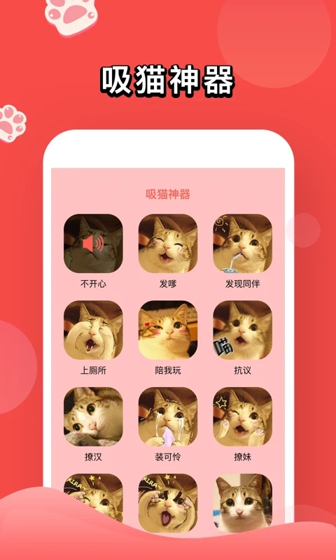 人猫交流器app官方版 v1.1.6 最新版3