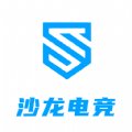 沙龙电竞下载