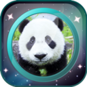 我的前世今生安卓版下载_我的前世今生手机版下载