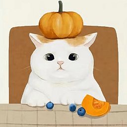 收纳小物语手机版