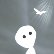 神圣的光安卓版