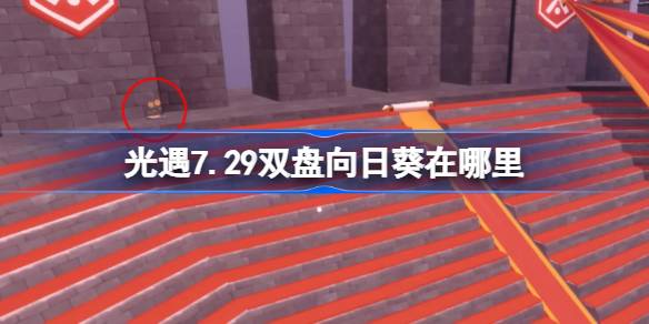 光遇7.29双盘向日葵在哪里 光遇7月29日有友节代币收集攻略