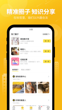 友猫2.9.372