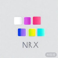 nrx浏览器app官方版 v1.2.0 最新版安卓版