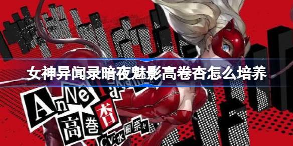 女神异闻录暗夜魅影高卷杏怎么培养 女神异闻录暗夜魅影高卷杏培养攻略