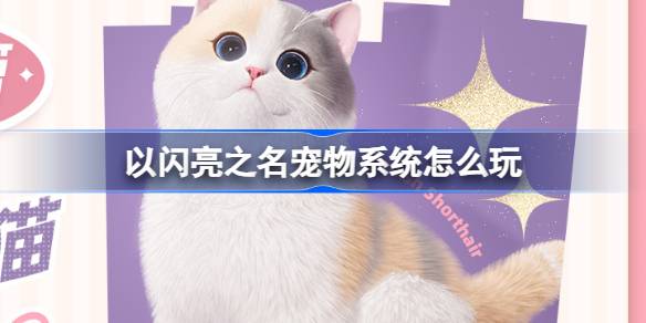 以闪亮之名宠物系统怎么玩 以闪亮之名宠物系统活动介绍
