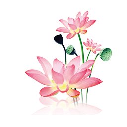 携程即刻出行司机端