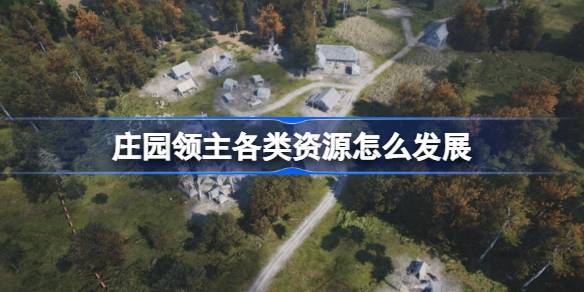 庄园领主各类资源怎么发展 庄园领主资源发展方向介绍